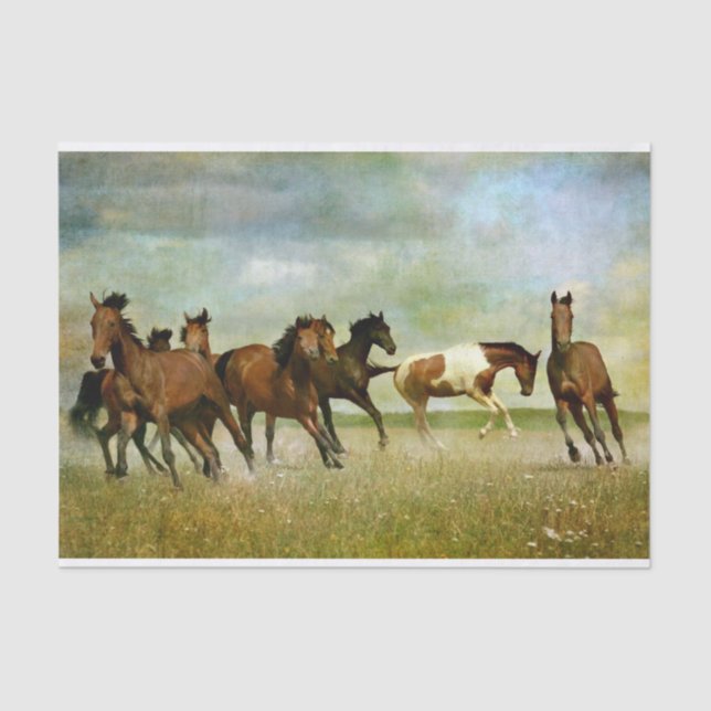 Horse Wild Vintage Painting Decoupage Tissue Paper (Front)