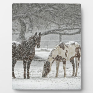 horse winter snow farm ranch animals snowy frozen plaque