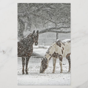 horse winter snow farm ranch animals snowy frozen stationery