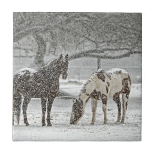 horse winter snow farm ranch animals snowy frozen tile