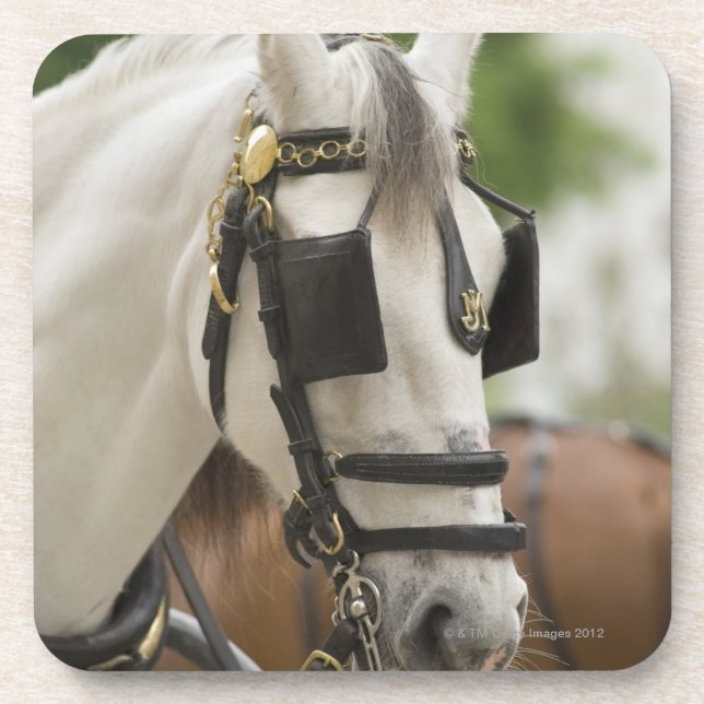 Horse with blinders coaster (Front)
