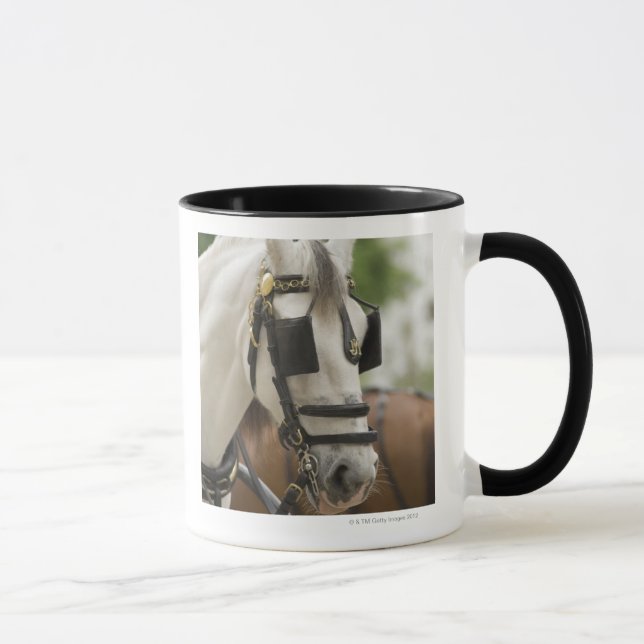 Horse with blinders mug (Right)