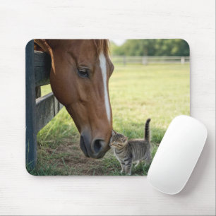 Horse with Kitten in a Farm Pasture Mouse Mat