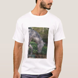horse with no name T-Shirt