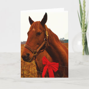 Horse with Red Bow Holiday Card