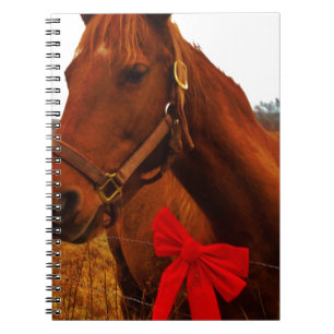 Horse with Red Bow Notebook