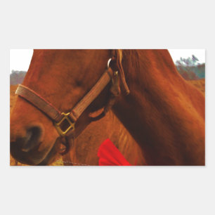Horse with Red Bow Rectangular Sticker