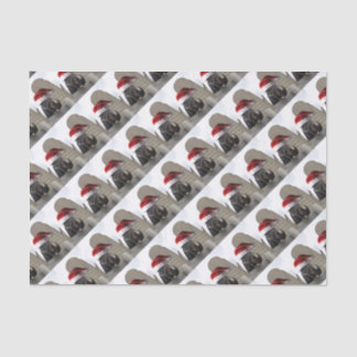 Horse with Santa Hat Tissue Paper