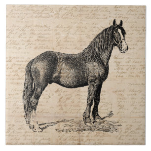 Horse with Script Paper Tile