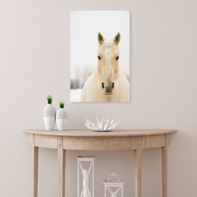 Horse with snow on head canvas print (Creator Uploaded)