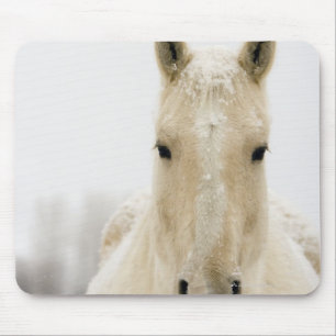 Horse with snow on head mouse mat