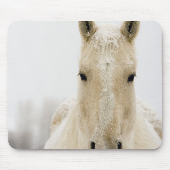 Horse with snow on head mouse mat (Front)