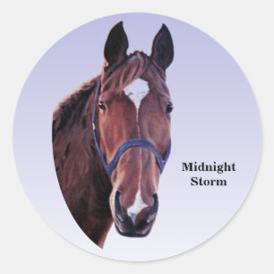 Horse with White Star (change text) Classic Round Sticker
