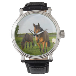 Horse Wrist watch