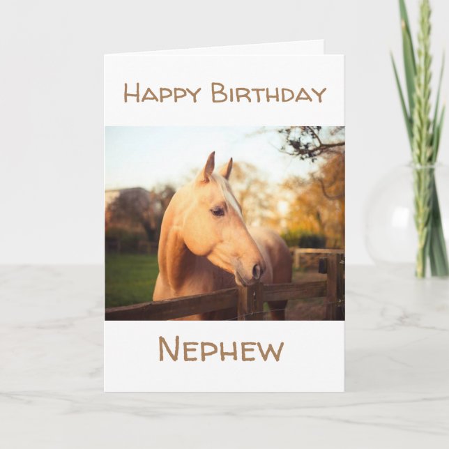 HORSE YOU LOVE SENDS BIRTHDAY WISH NEPHEW CARD (Front)