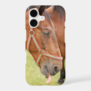 Horsehead 002