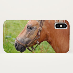 Horsehead 003 iPhone x case