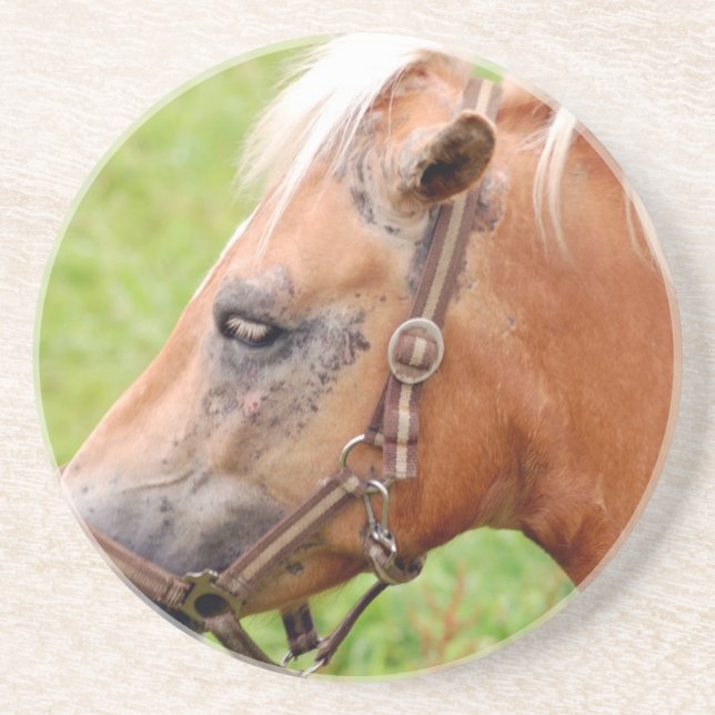 Horsehead 003 coaster (Front)