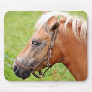 Horsehead 003 mouse mat