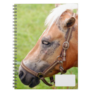 Horsehead 003 notebook