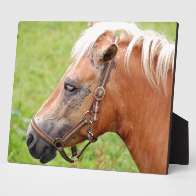 Horsehead 003 plaque (Side)