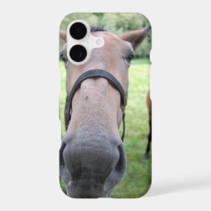 Horsehead 004