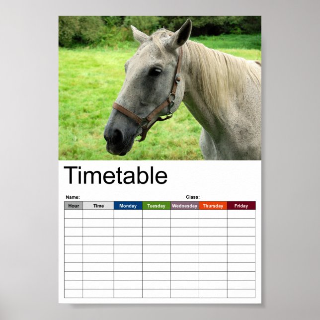 Horsehead 005 Timetable Poster (Front)