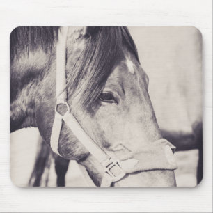 Horsehead 009 mouse mat