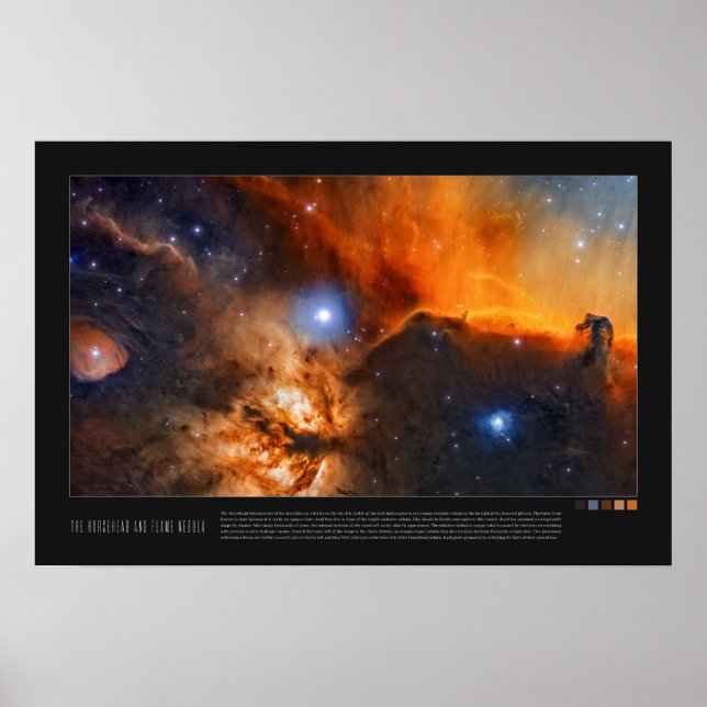 Horsehead and Flame Nebula (Barnard 33, NGC 2024) Poster (Front)