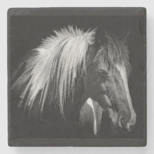 Horsehead Coaster
