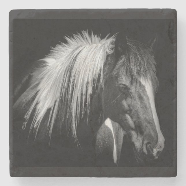 Horsehead Coaster (Front)