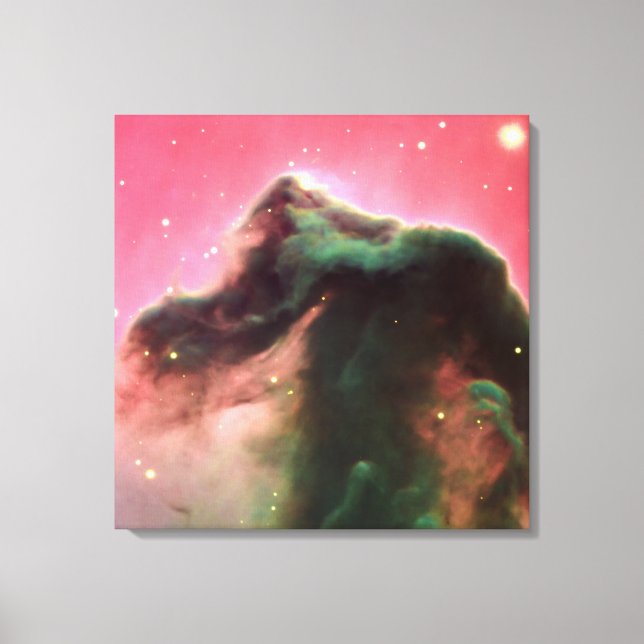 Horsehead Nebula - Awesome Space Images Canvas Print (Front)
