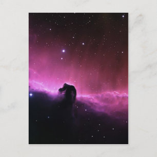 Horsehead Nebula Barnard 33 NASA Postcard
