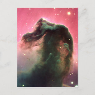 Horsehead Nebula Postcard