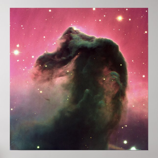 Horsehead Nebula Poster (Front)