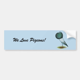 Horseman Pouter Blue Bumper Sticker