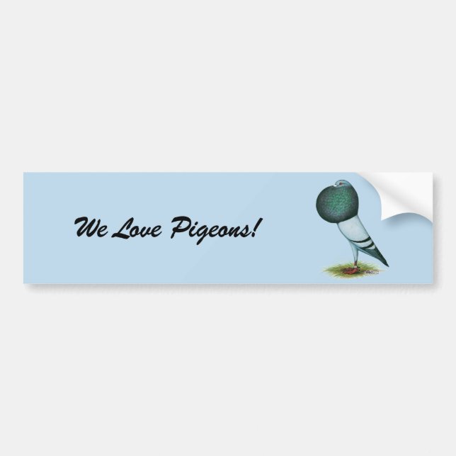 Horseman Pouter Blue Bumper Sticker (Front)