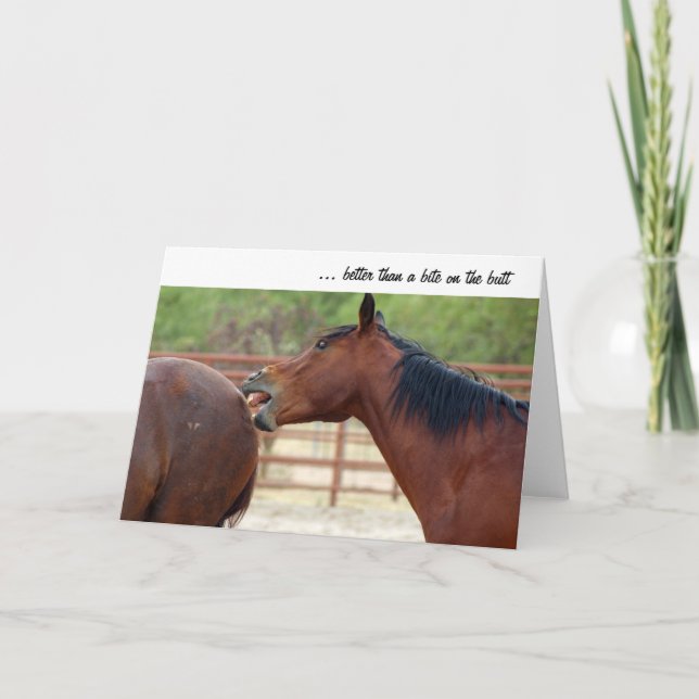 Horseplay Greeting Card (Front)