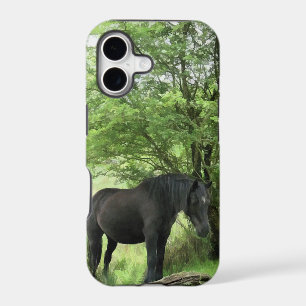 HORSES