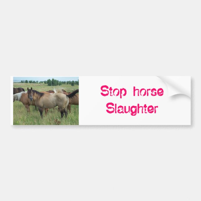 horses_015, Stop horse Slaughter Bumper Sticker (Front)