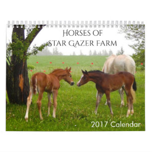 Horses 2017 Calendar