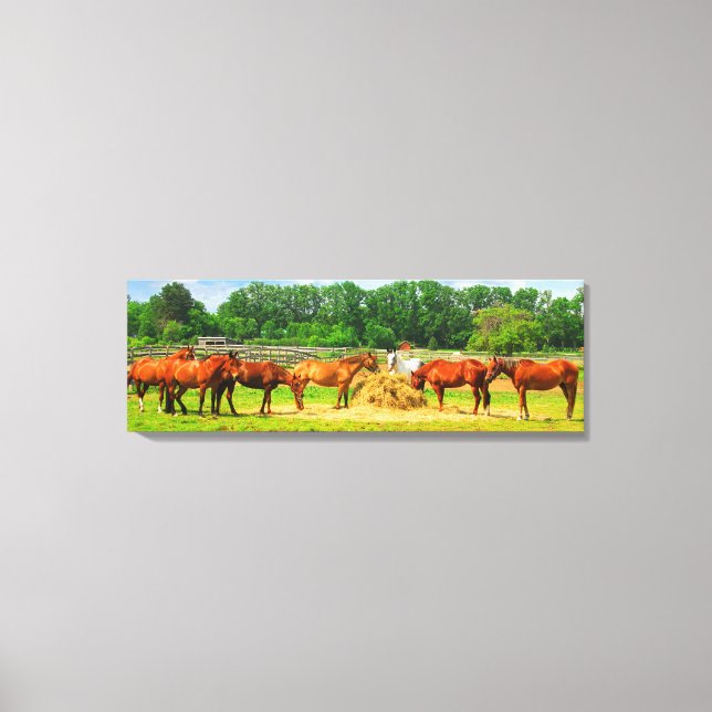 Horses [36x12] inches canvas print (Front)