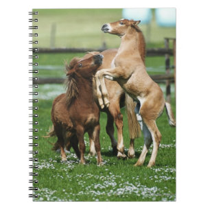 Horses 3 notebook