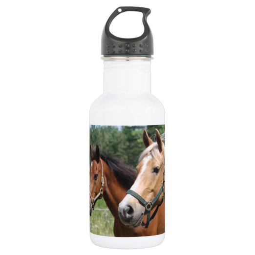 Horse Riding Water Bottles Zazzle.co.uk