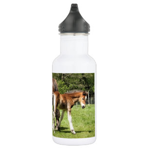 HORSES 532 ML WATER BOTTLE