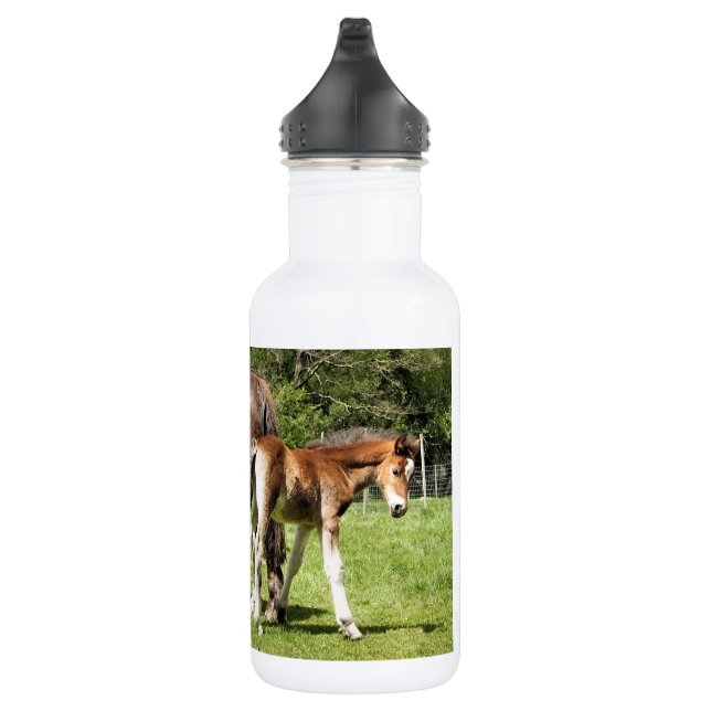 HORSES 532 ML WATER BOTTLE (Right)