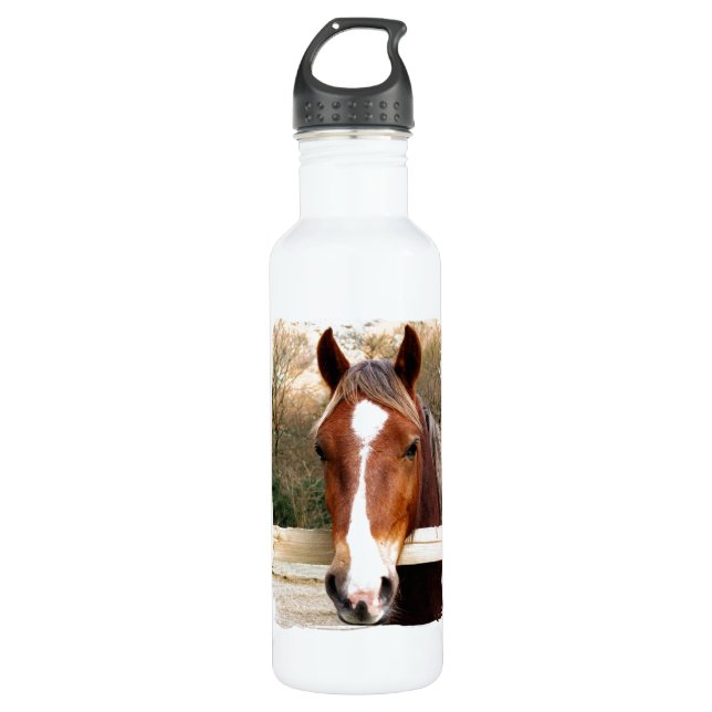 HORSES 710 ML WATER BOTTLE (Front)