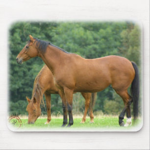 Horses 9A81D-10 Mouse Mat