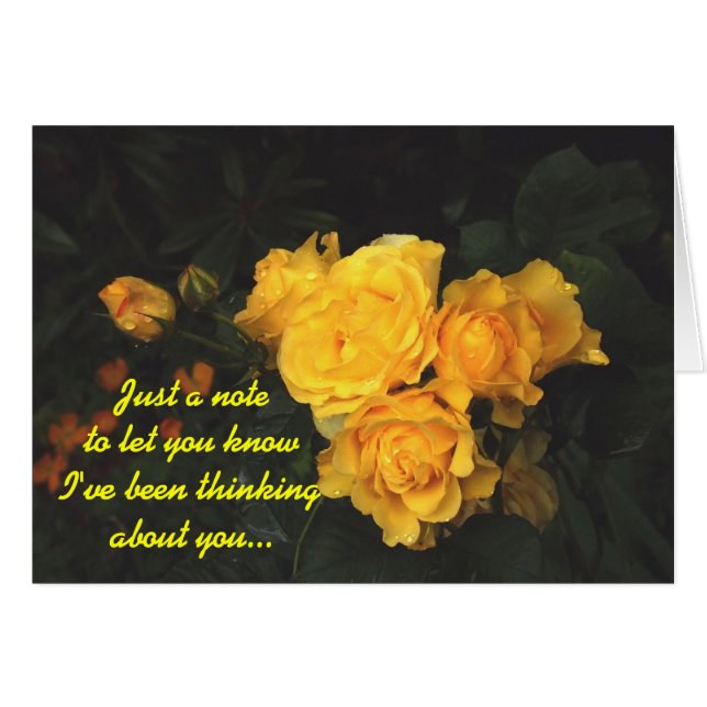 Horse's A** (Front Horizontal)