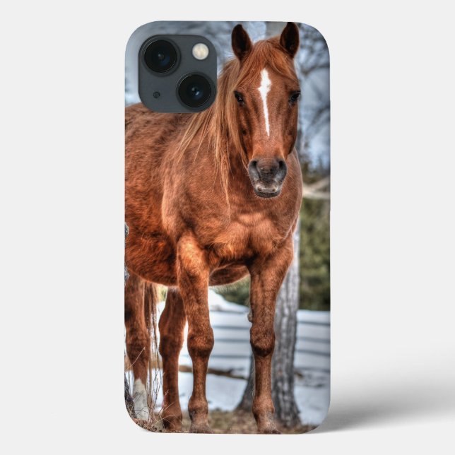 Horses - American Western Theme Case-Mate iPhone Case (Back)
